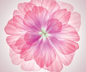 Dream pink flower with vector 03