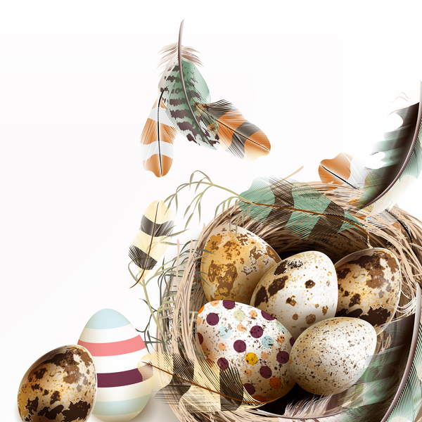 Easter background with bird nest eggs and feathers vector 04