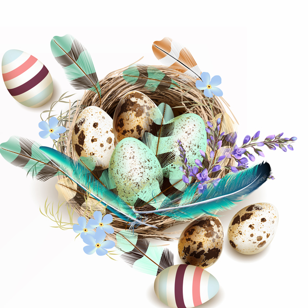 Easter background with bird nest eggs and feathers vector 05