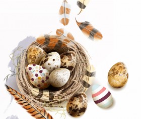 Easter background with bird nest eggs and feathers vector 06