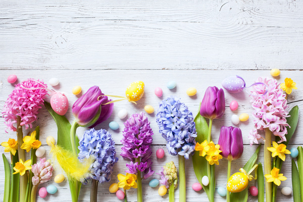 Easter wooden background with eggs, candy and flowers Stock Photo 09