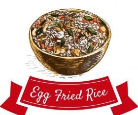 Egg fried rice chinese cuisine vector