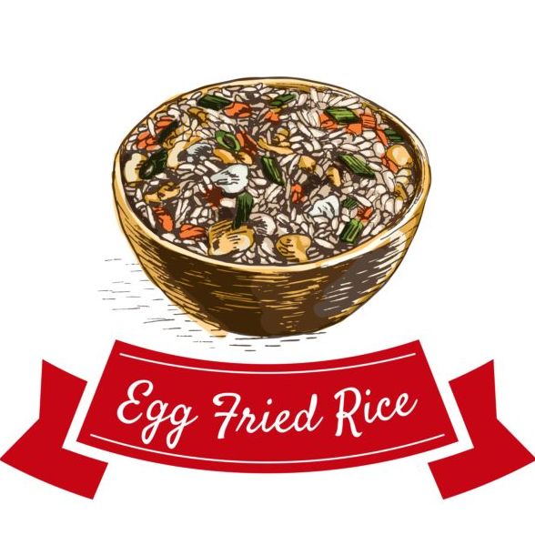 Egg fried rice chinese cuisine vector