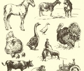 Farm with poultry hand drawn vector