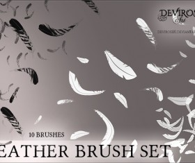Feather photoshop brushes set