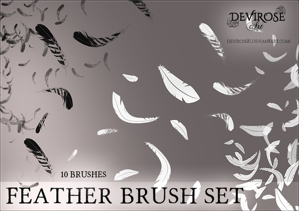 download feather brush photoshop cs6