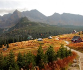 Field scenery Stock Photo