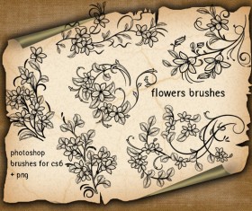 Flowers decorative photoshop brushes
