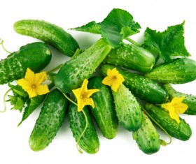 Fresh cucumber on a white background HD picture