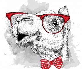 Funny camel and glasses vector material 01