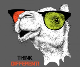 Funny camel and glasses vector material 04