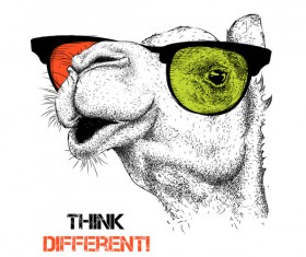 Funny camel and glasses vector material 05