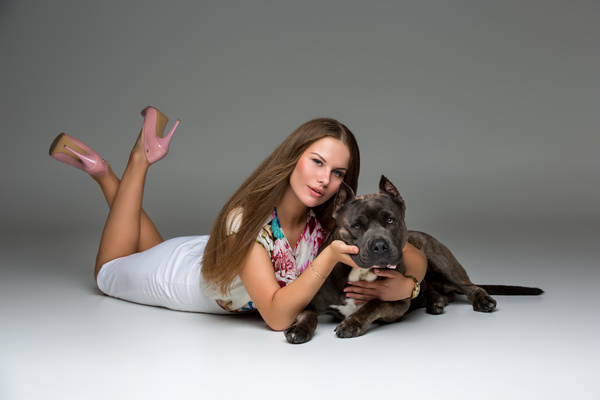 Girl and dog Gray Stafford Stock Photo