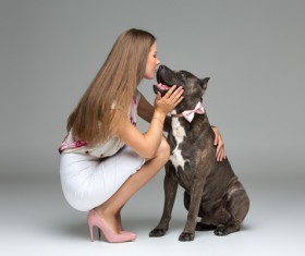 Girl interacts with gray Staffford dog intimate Stock Photo