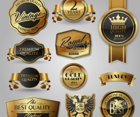Glass texture golden labels luxury vector