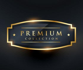 Gold premium labels vector design