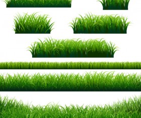 Green grass borders design vector material