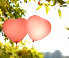 Green leaves with red heart shaped balloons Stock Photo