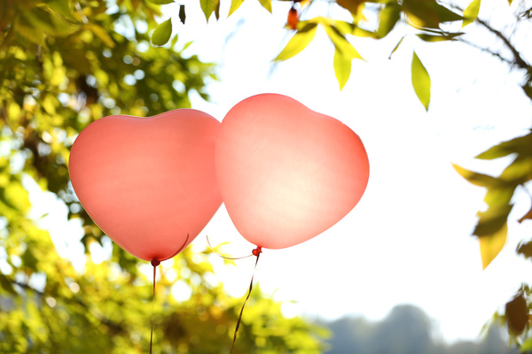 Green leaves with red heart shaped balloons Stock Photo