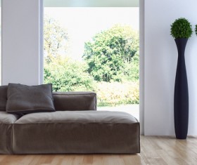 Green plants in the room with sofas HD picture