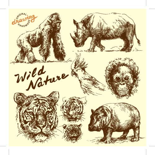 Hand drawing wild animal vector set 02
