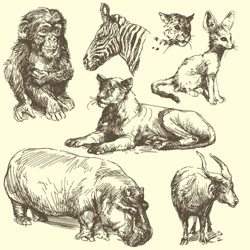 Hand drawing wild animal vector set 09