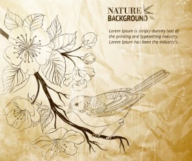 Hand drawn flower and bird with crumpled paper background vector 02
