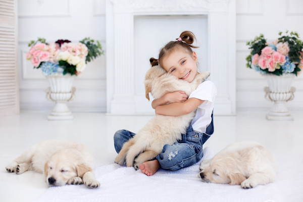 Happy little girl hugging the dog Stock Photo