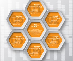 Honeycomb business infographics template vectors set 01