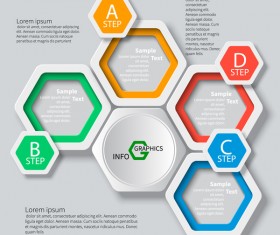 Honeycomb business infographics template vectors set 05