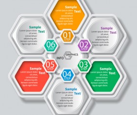 Honeycomb business infographics template vectors set 06