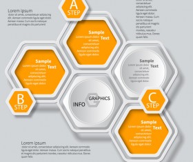 Honeycomb business infographics template vectors set 07