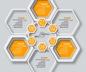 Honeycomb business infographics template vectors set 11