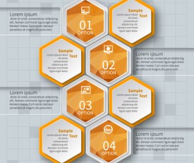 Honeycomb business infographics template vectors set 13