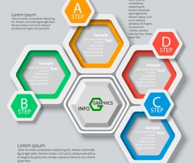 Honeycomb business infographics template vectors set 14