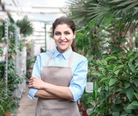 In greenhouses woman Stock Photo
