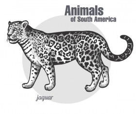 Jaguar hand drawing sketch vector