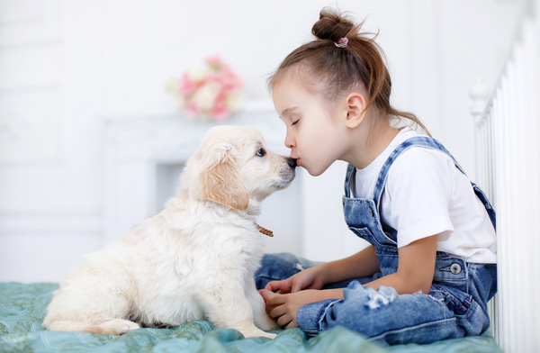 Kiss the little girl of the little dog Stock Photo