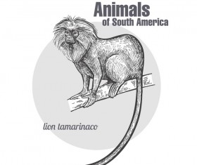 Lion hand drawing sketch vector