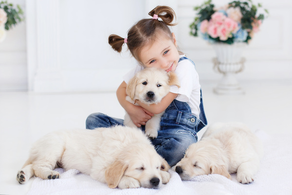 Little girl with pet dog Stock Photo