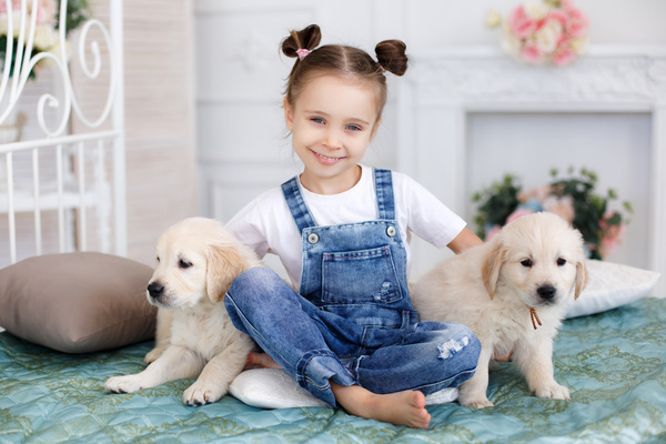 Little girl with two puppies Stock Photo