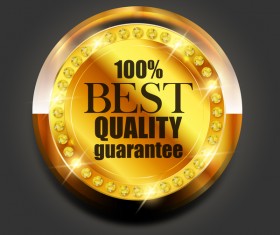 Luxury golden badge design vector 02