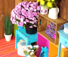 Multifunctional color bookshelves Stock Photo 05