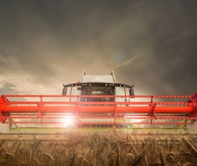 Night harvest Stock Photo