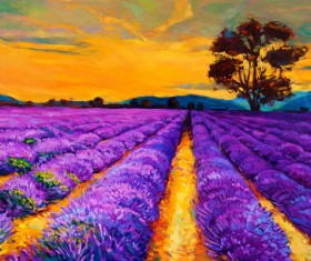 Oil painting lavender Stock Photo