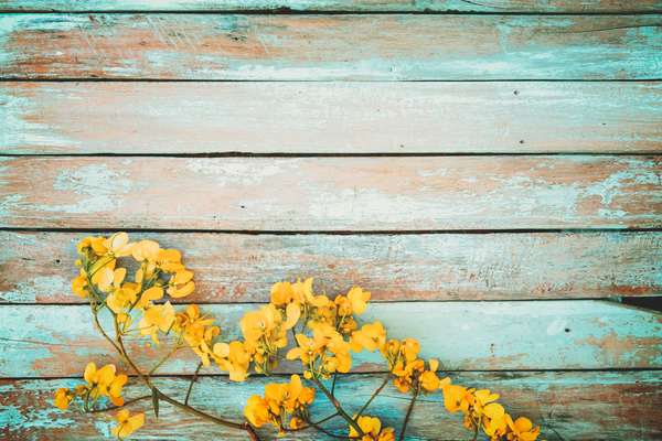Old wooden background flowers Stock Photo 06