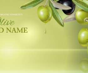 Olive with green background vector