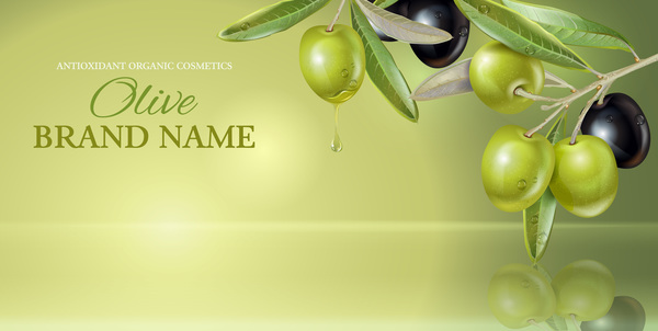 Olive with green background vector