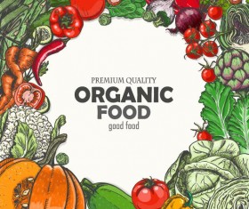 Organic vagetable frame retro vector 01