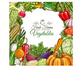 Organic vagetable frame retro vector 02